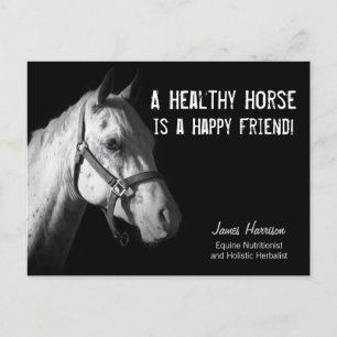 Postal Equine Specialist for Horse Business Clients Postc
