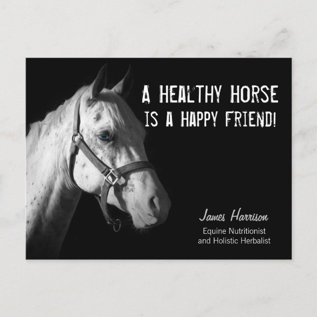 Postal Equine Specialist for Horse Business Clients Postc (Anverso)