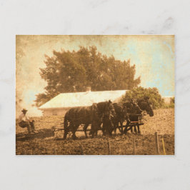 Postal Equipo Amish