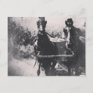 Postal Equipo de caballos #caballo #amish