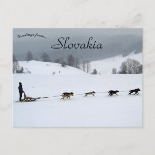 Postal Equipo de Trineo de Perros en Invierno en Eslovaqu