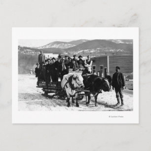 Postal Equipo de vacas sacando a hombres en vagón