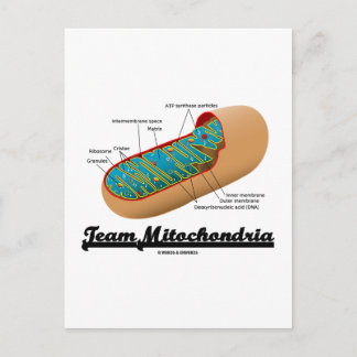 Postal Equipo Mitochondria (Humor Mitochondrion)