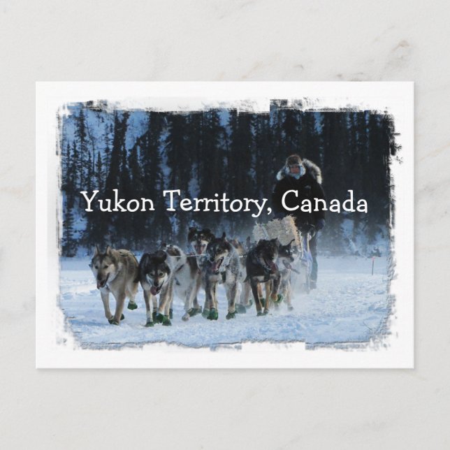 Postal Equipo Yukon Quest Dogsled; Territorio del Yukón,  (Anverso)