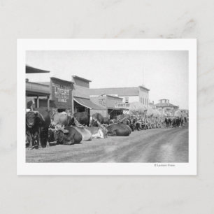 Postal Equipos Ox a lo largo de la calle principal de Stu