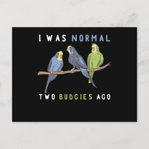 Postal Era Normal Dos Bugies Ago Budgie Bird