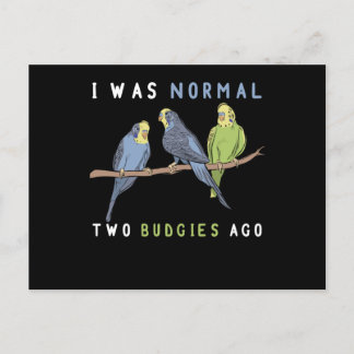 Postal Era Normal Dos Bugies Ago Budgie Bird