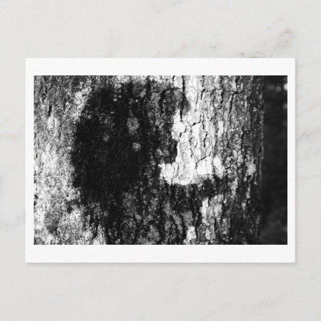 Postal Érase una vez en el bosque (Anverso)