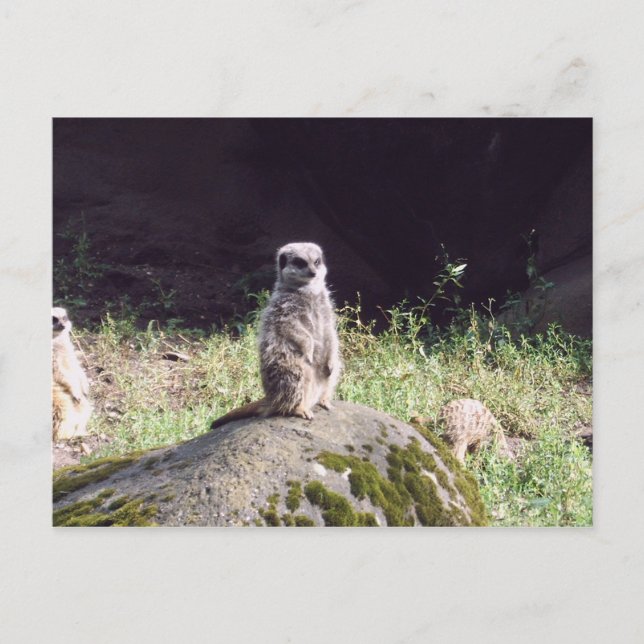 Postal erdmann (Anverso)