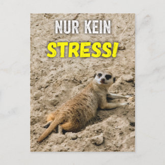Postal Erdmännchen-Postkarte ‚Nur kein Stress!‘ Postkarte