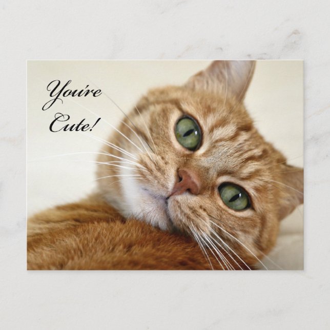 Postal ¡Eres Cute! (Anverso)