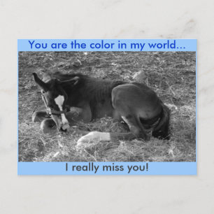 Postal Eres el color en mi mundo