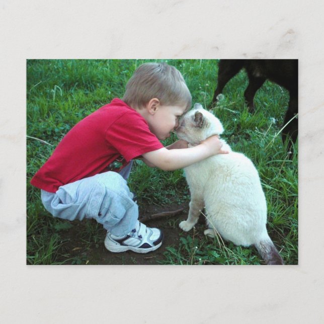 Postal ¡Eres el gato de Meow! (Anverso)