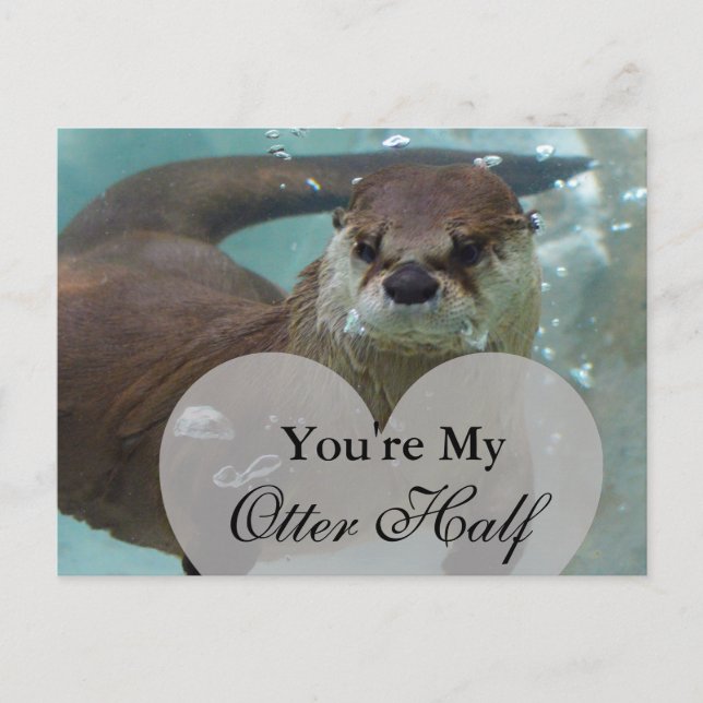 Postal Eres mi Otter Half Brown River Otter Swimming (Anverso)
