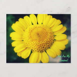 Postal ¡Eres Mi Sol!