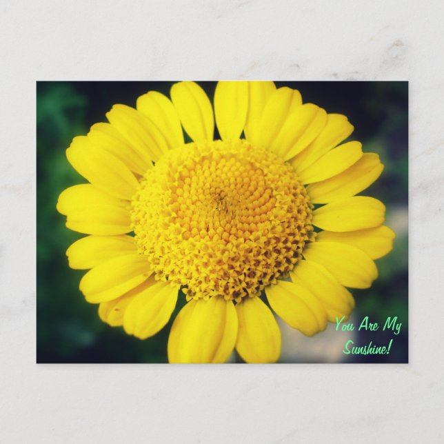 Postal ¡Eres Mi Sol! (Anverso)