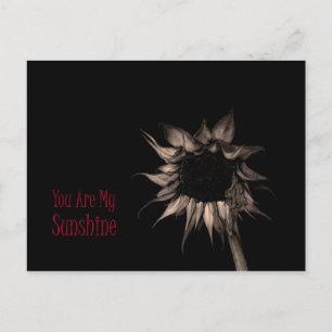 Postal Eres Mi Sunshine Sunflower Cuate Único Guay