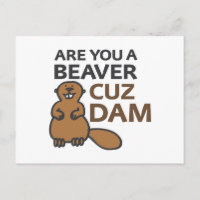 ¿Eres un castor cuz Dam?