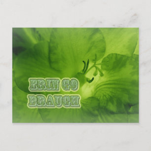 Postal Erin Go Braugh Green Freesia Items