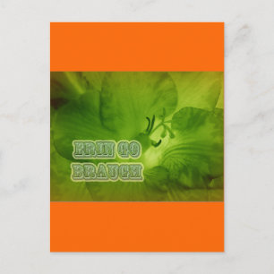 Postal Erin Go Braugh Green Freesia Items