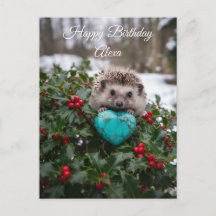 Erizo Adorable de Diciembre con Corazón Turquesa