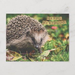 Postal Erizo de bosque lindo feliz cumpleaños