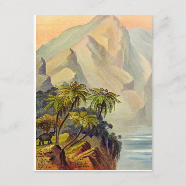 Postal Ernst Haeckel's World's End 1882 (Anverso)