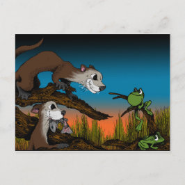 Postal Error de la rana