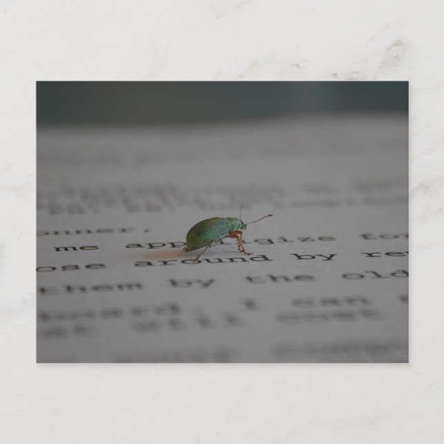 Postal Error de Office (Anverso)