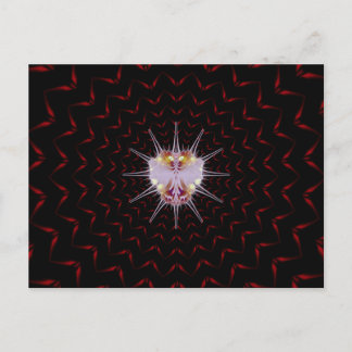 Postal Error VURI