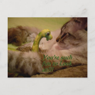 Postal Es divertido mirar Postcard