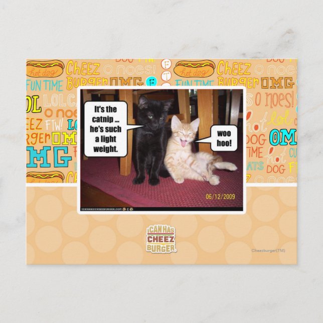 Postal Es el catnip (Anverso)