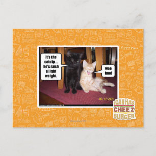 Postal Es el catnip