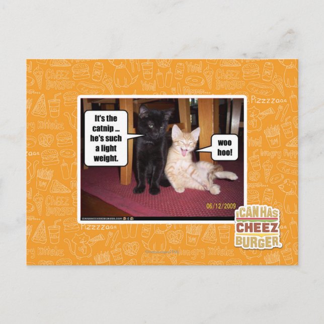 Postal Es el catnip (Anverso)