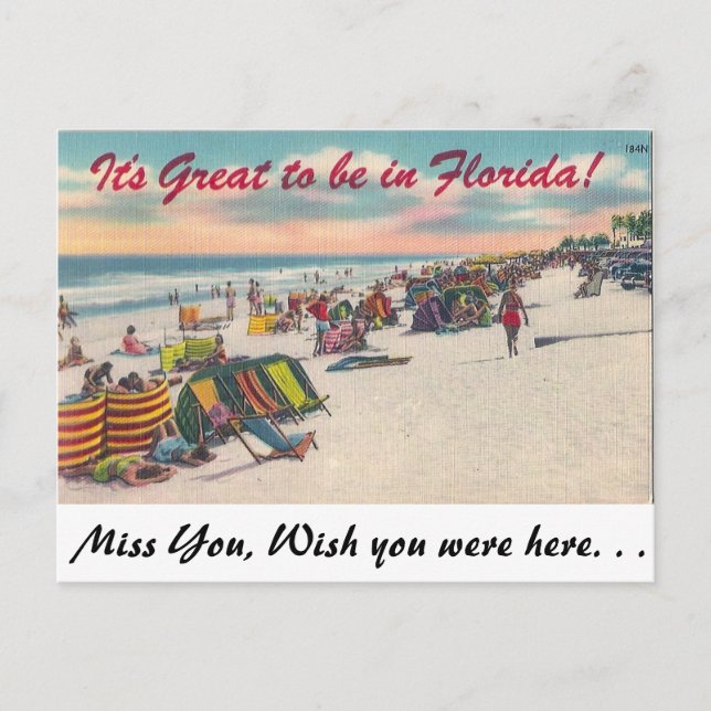 Postal ¡Es genial estar en Florida! (Anverso)