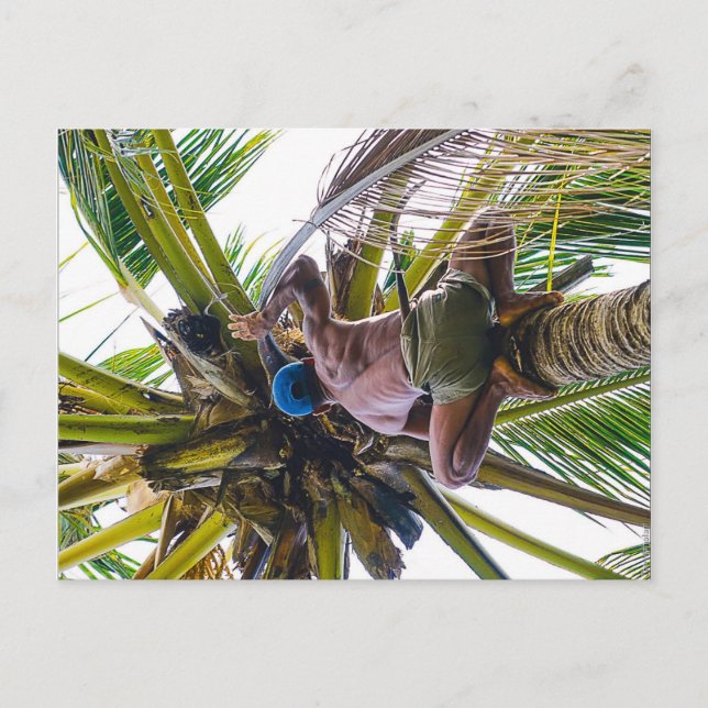 Postal Es hora de limpiar los cocos (Anverso)