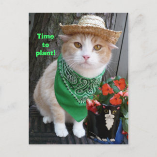 Postal ¡Es hora de plantar!