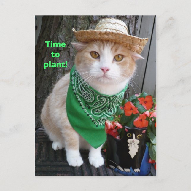 Postal ¡Es hora de plantar! (Anverso)