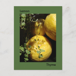Postal Es Lemon Thyme.