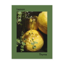 Es Lemon Thyme.