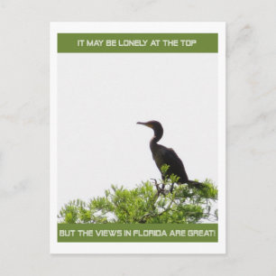 Postal Es solitario en la carta de Florida Top