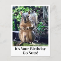 Es tu cumpleaños, vuelve loco Chiste divertido de 
