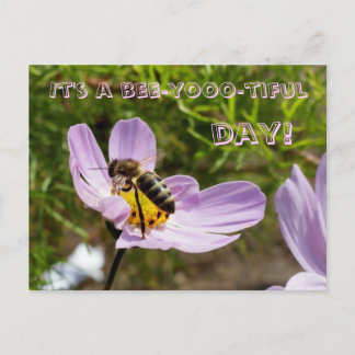 Postal ¡Es un día hermoso de abejas! / Bee Poscard