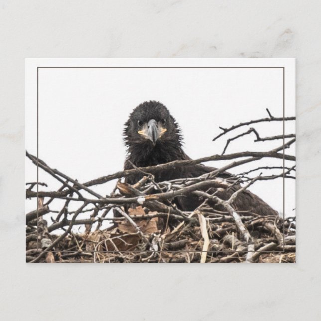 Postal Es un nuevo mundo grande (Anverso)