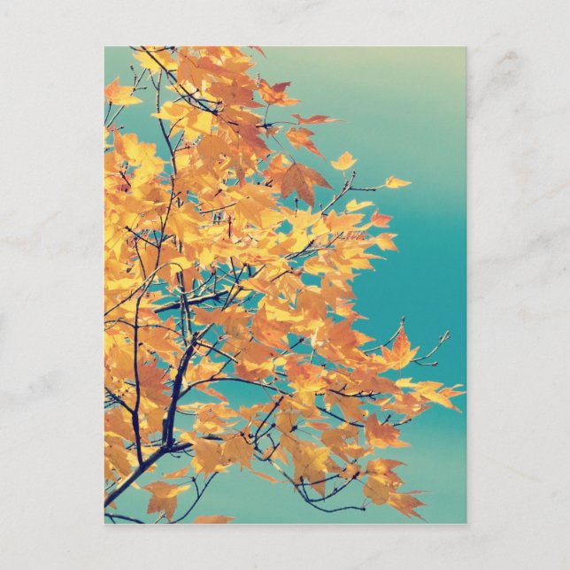 Postal Es una cosa de hojas 1 (Anverso)