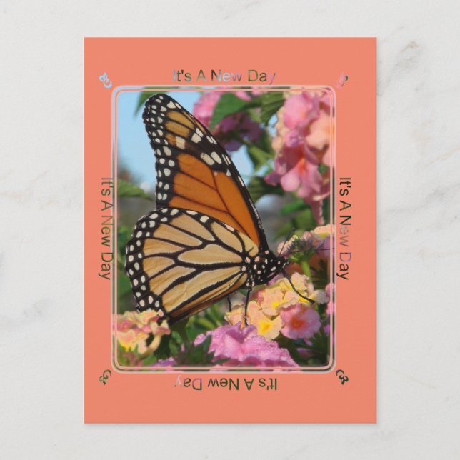 Postal Es una mariposa monarca de nuevo día (Anverso)