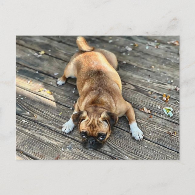 Postal Es una vida difícil (Anverso)