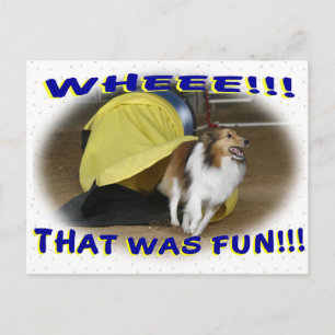 Postal Ésa era diversión