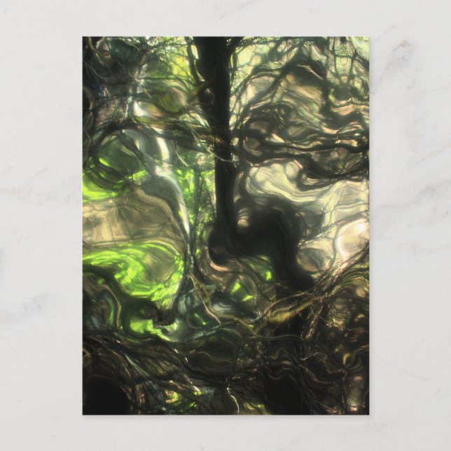 Postal Esa misma noche en la habitación de Max un bosque  (Anverso)