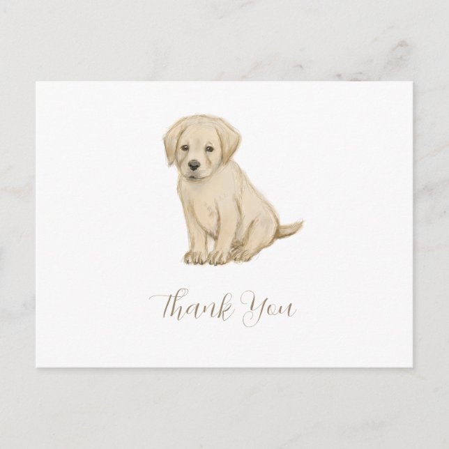 Postal Esbozo adorable de cachorro labrador (Anverso)